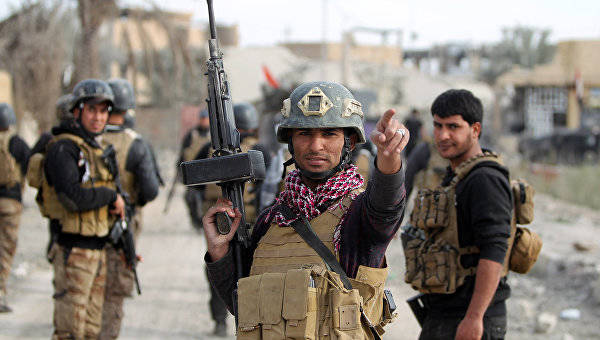 Ирак вернет Эр-Рамади за 5 дней