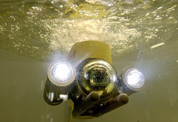 Роботы под прикрытием: российский морской глайдер против американского SeaFox