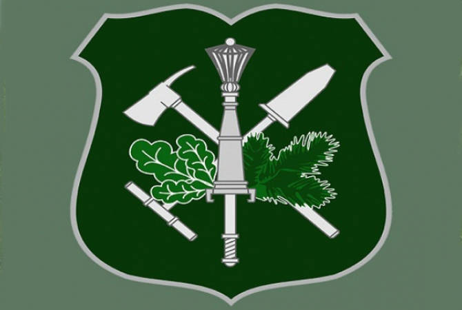 Военные лесники получили собственную эмблему