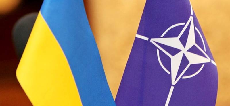Cотрудничество НАТО и Киева касается оборонных реформ