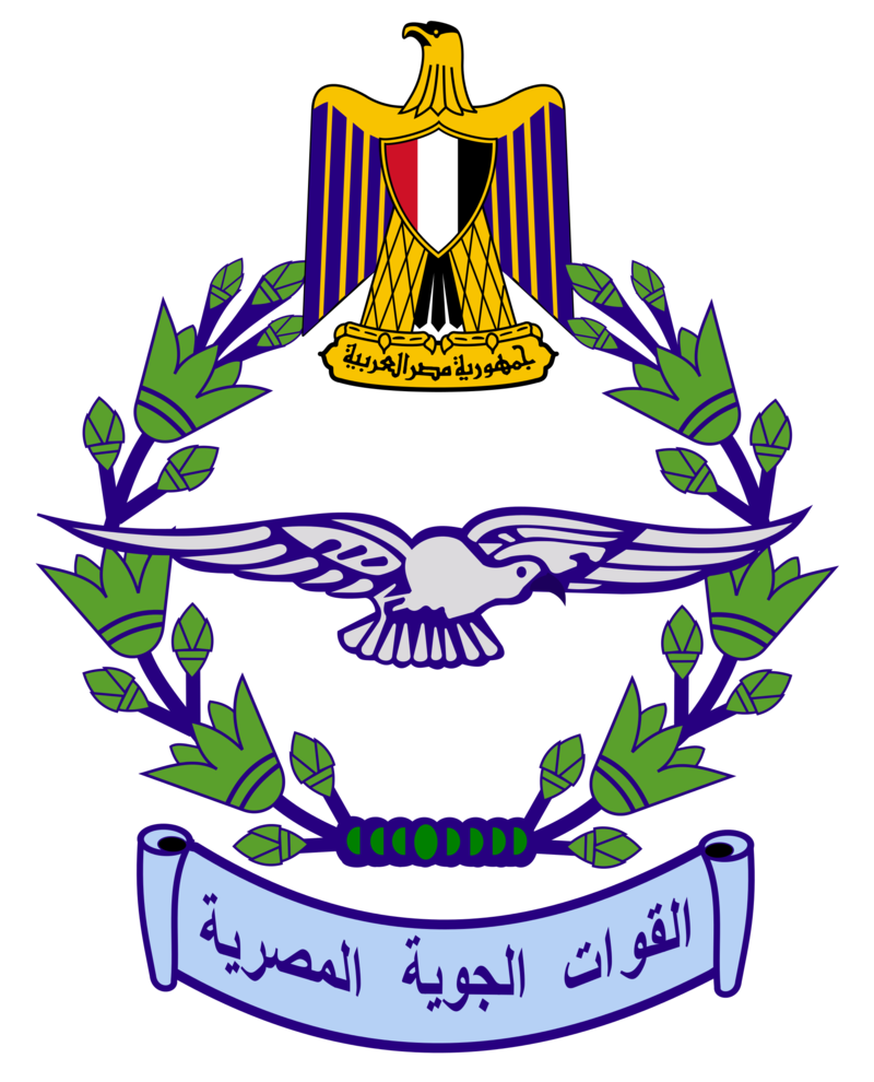 ВВС Египта уничтожили на Синае 10 боевиков