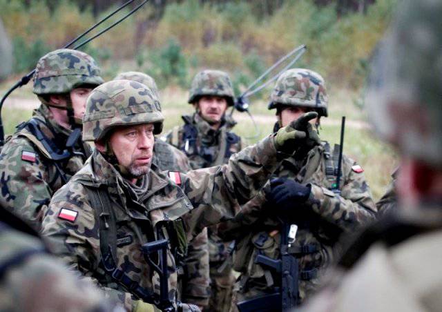 Зачем Польше войска территориальной обороны?