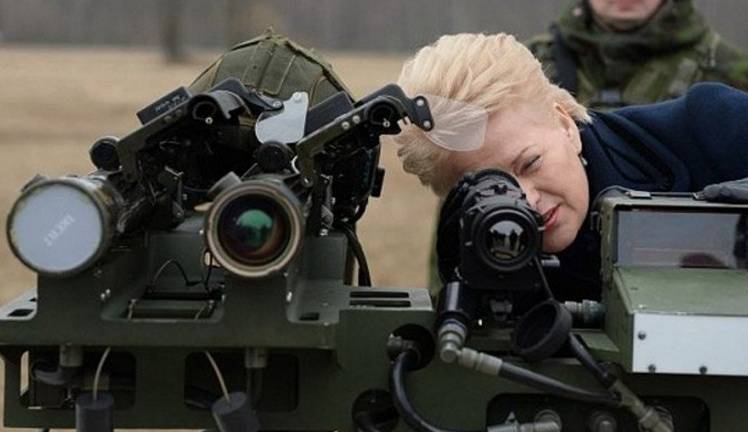 Новая Военная стратегия Литвы: главная угроза – Россия