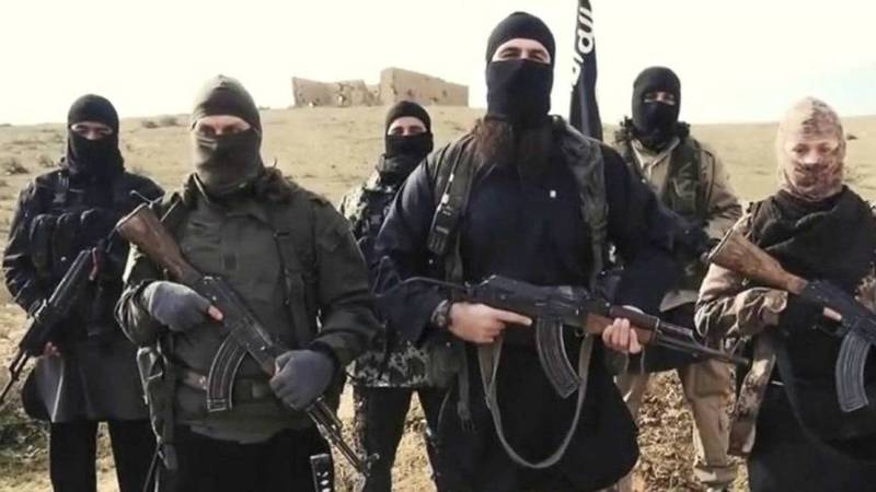 ISIS казнил 8 голландских боевиков, 60 арестованы