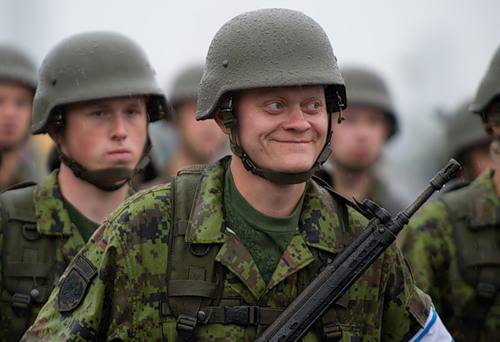 Эстония оценила военный интерес России к своему государству