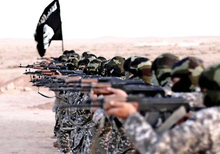 Донбасс будут отвоевывать боевики ИГИЛ