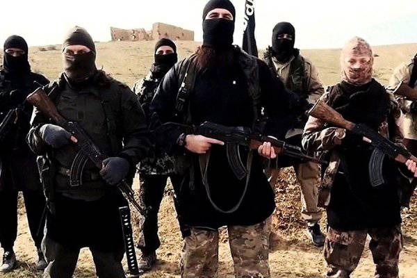 «Ураганы» сожгли террористов в 10 км от Пальмиры, ИГИЛ воюет с боевиками «Ан-Нусры» и ССА «Ураганы» сожгли террористов в 10 км от Пальмиры, ИГИЛ воюет с боевиками «Ан-Нусры» и ССА