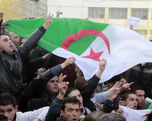 Россия навела порядок в Сирии, может повторить и в Алжире