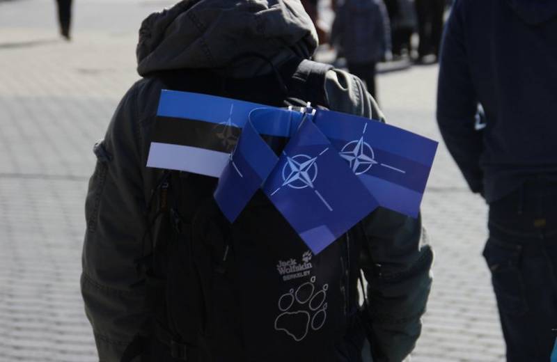 Доверие Эстонии к НАТО: страх или вынужденная мера?