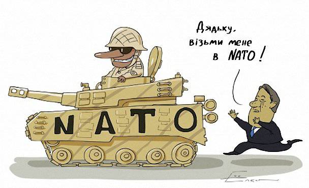 Новые мечты Украины о НАТО