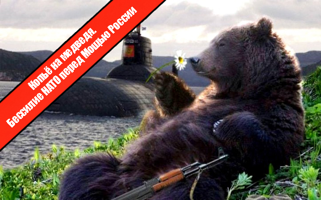 Копьё на медведя: Бессилие НАТО перед мощью России