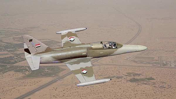 ВВС Ирака уничтожили в провинции Анбар семь главарей ИГ
