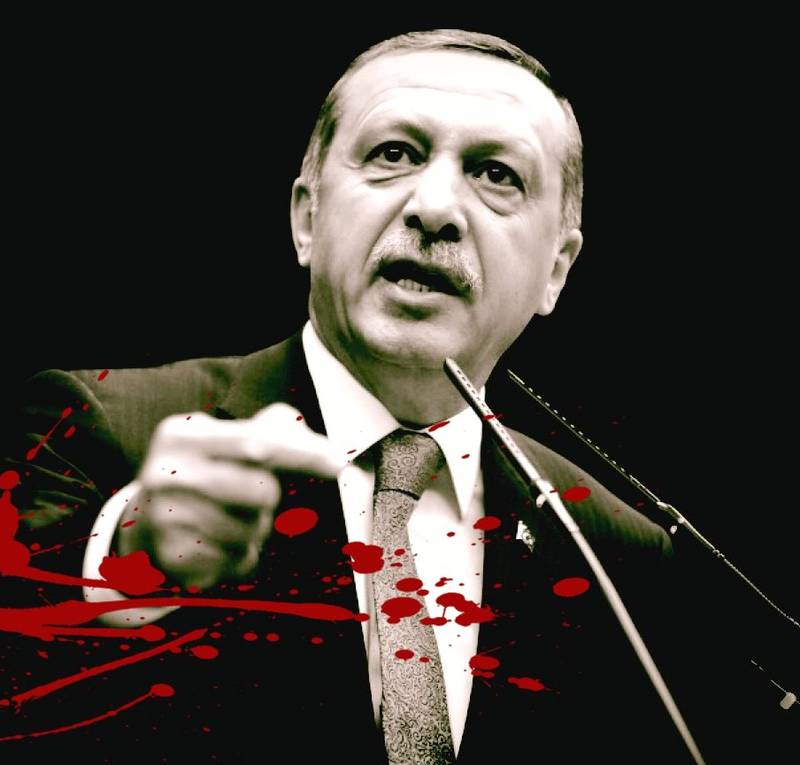 Эрдоган в бешенстве: Черное море превращается в российское озеро