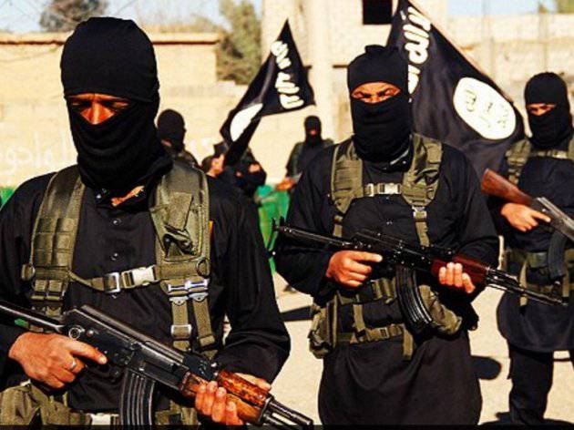 В Ракке казнены дети, «шпионившие на крестоносцев»