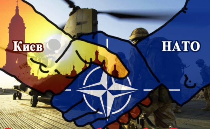 Чтобы сохранить базы в Германии, НАТО войдёт на Украину