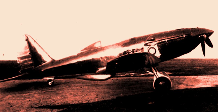 «Первенец» Сухого: уникальный истребитель Су-1