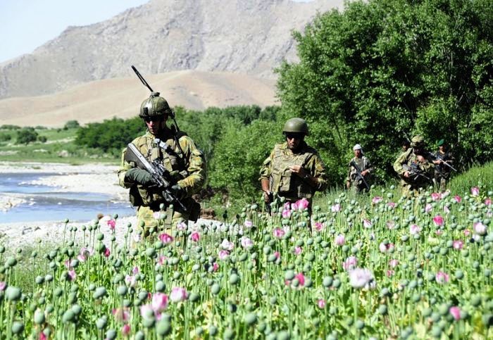 Афганский наркотрафик как средство войны с Россией
