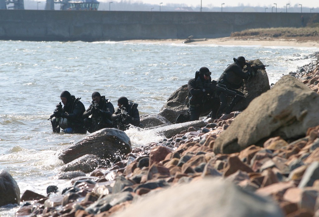 Боевые дайверы Росгвардии защитят мост в Крым Боевые дайверы Росгвардии защитят мост в Крым