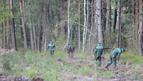 На границе с Украиной белорусские пограничники строят стену