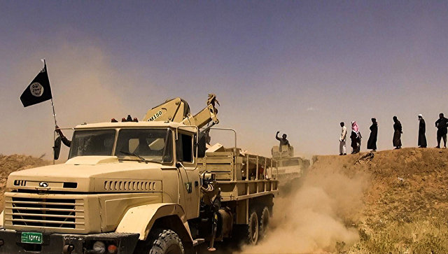 Боевики ИГ заняли центр города на западе Ирака и казнили пятерых заложников