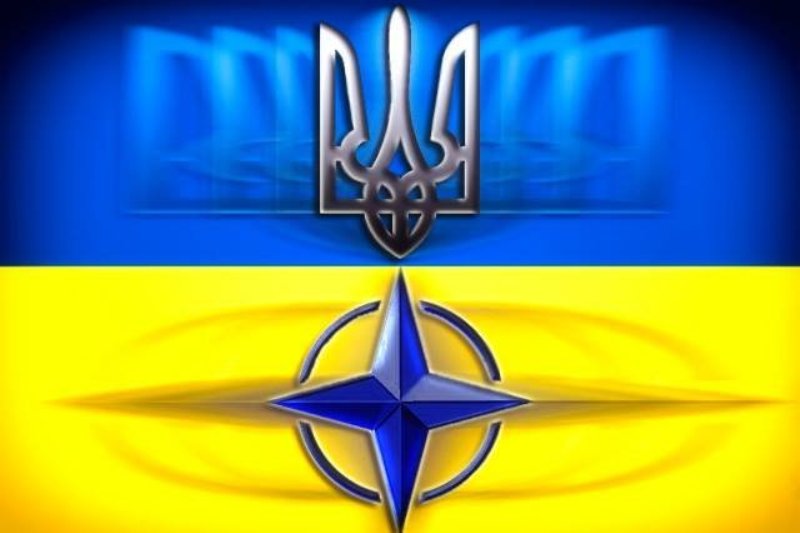 Украина обзавелась новыми помощниками