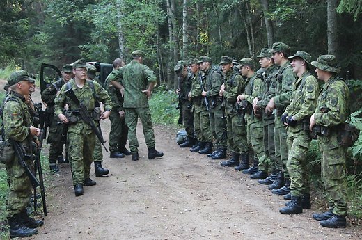 По примеру Литвы Украина создаст подразделения стрелков и добровольческого