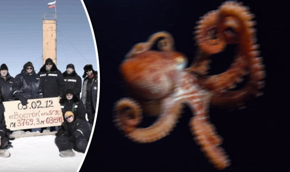 Daily Express: Осьминог-убийца - новое оружие России Daily Express: Осьминог-убийца - новое оружие России