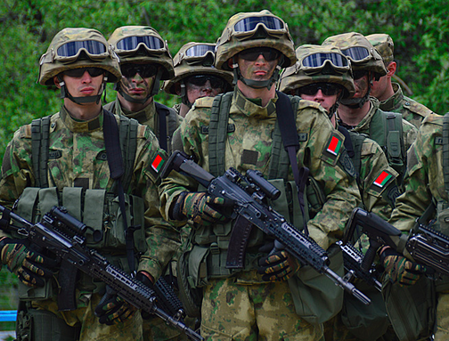 Скоро Парламент Беларуси ответит, важна ли армия для страны