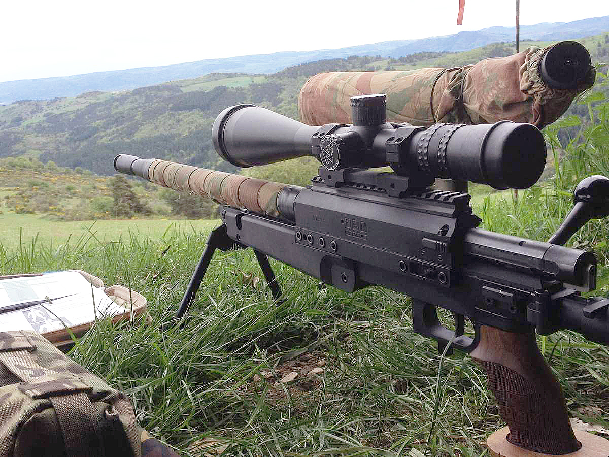 Французская снайперская винтовка PGM Ludis