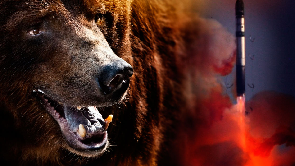 Клыки русского медведя: не угроза, но защита