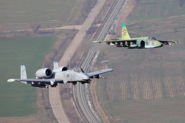 Грач против Бородавочника:  Штурмовики Су-25 и А-10 - взгляд из окопа