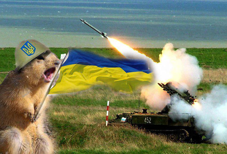 Боевые «Суслики» Украины: таких высот военное искусство не знало уже давно