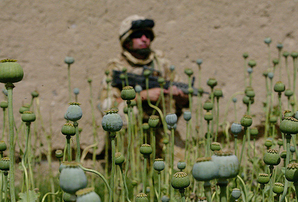 Сражение за столицу наркоторговли завершилось победой «Талибана»