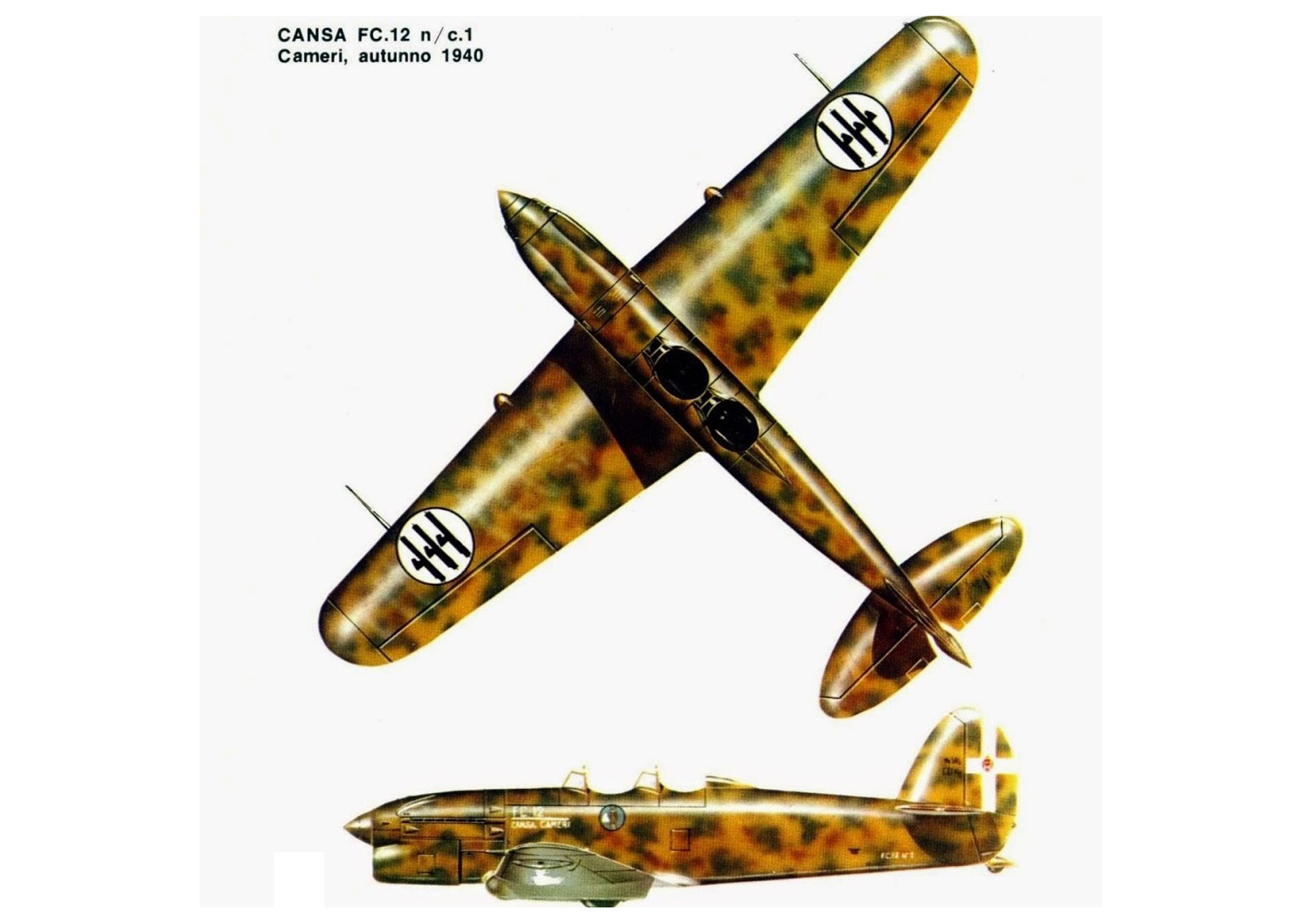 Опытный учебный самолет и пикирующий бомбардировщик CANSA/FIAT FC.12