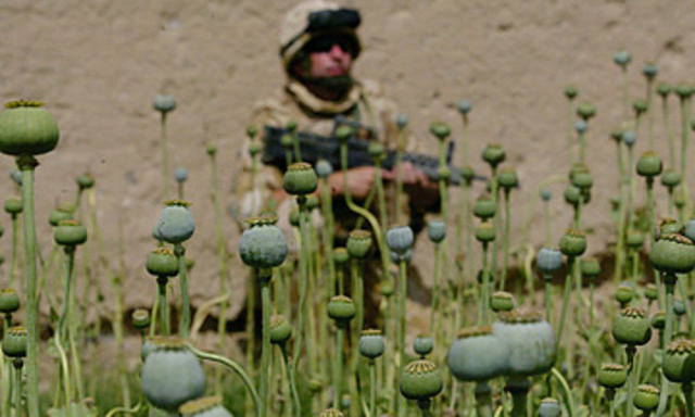 Солдат НАТО хотят подсадить на наркотики чтобы они не боялись боли