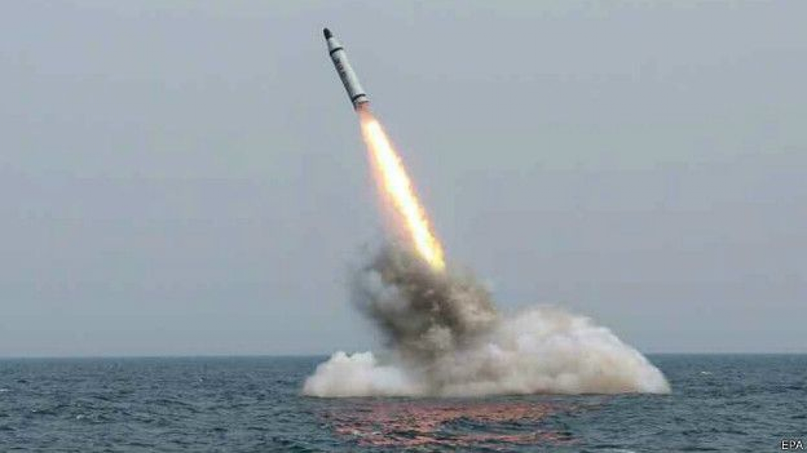 Daily Mail: КНДР намеренно уничтожила ракету, опасаясь попасть в Россию