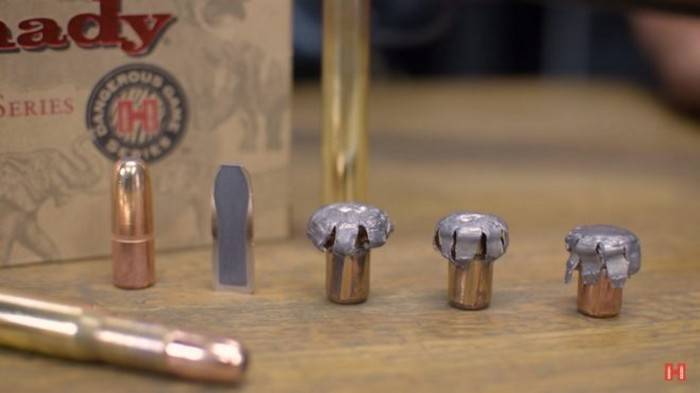 Hornady DGX Bonded: экспансивная пуля для охоты на опасного зверя