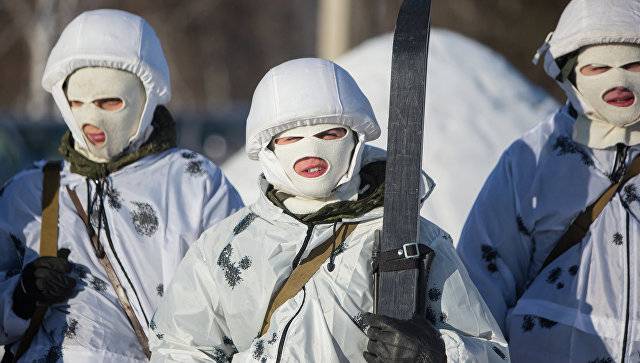 Белая смерть: самые хитрые приемы зимней маскировки разведчиков и танкистов
