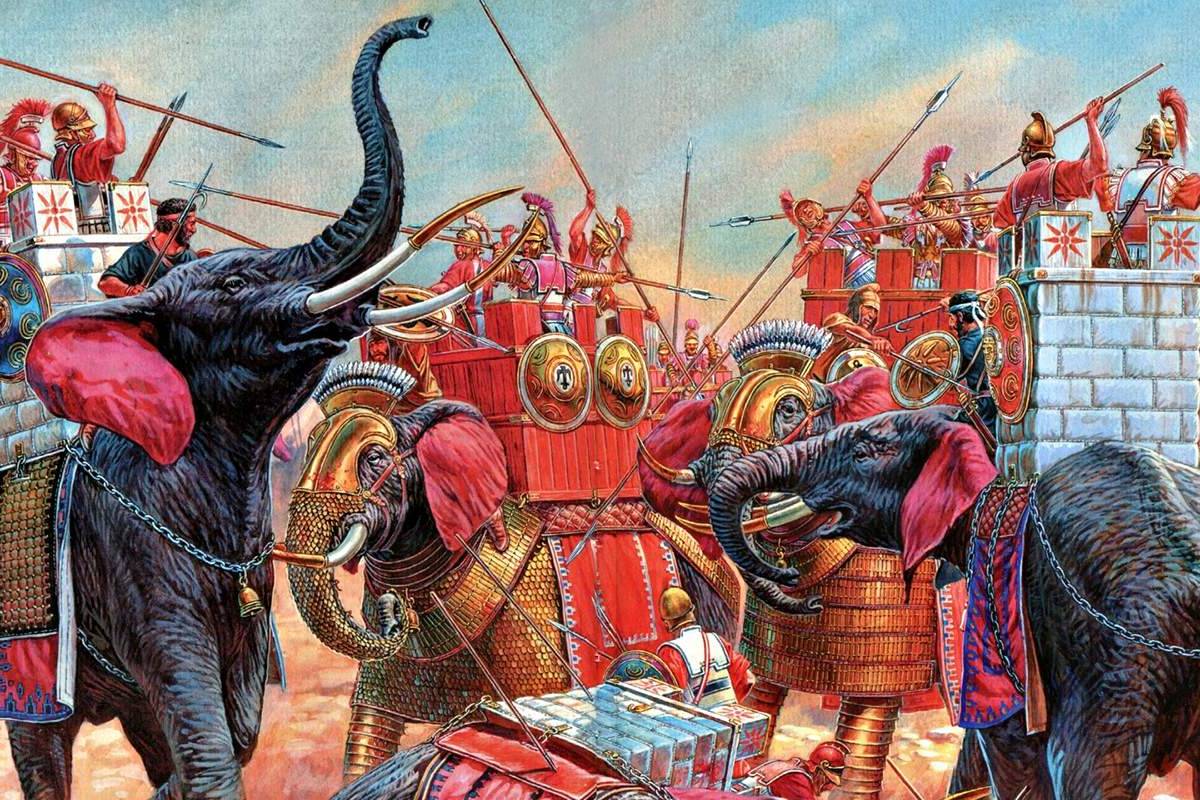 Ход слоном: пять советов командиру отряда элефантерии