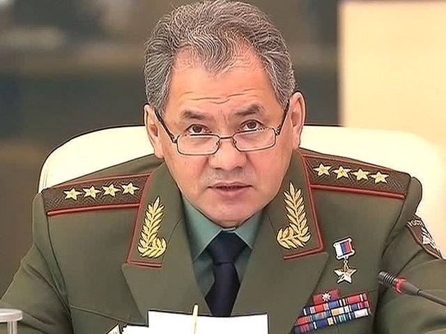 Шойгу отметил стремление Египта оснащать армию российским оружием