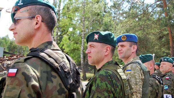 Поляки показали военным Украины как подрывать жилые дома