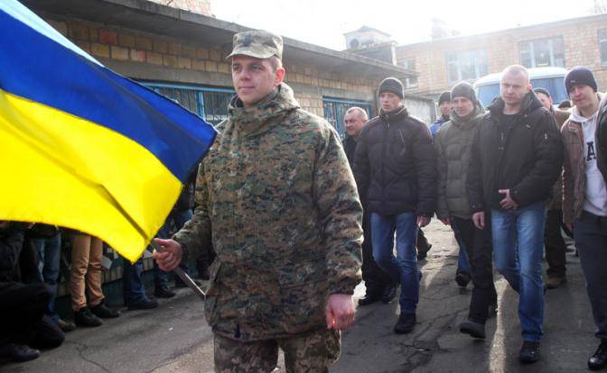 На будущих «героев Украины» объявлена облава