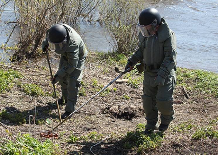 В Мурманской области обнаружили более 70 немецких мин времен войны