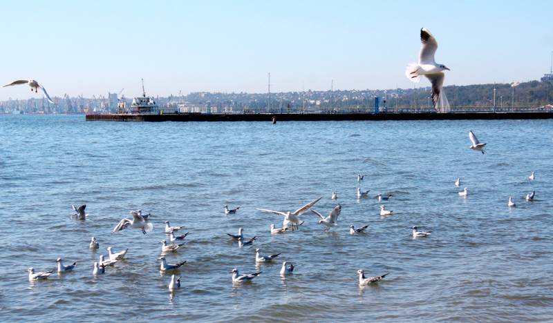 Украинский генерал боится войны за Азовское море