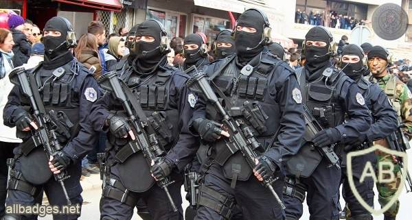 В Косово появился новый элитный спецназ GSI