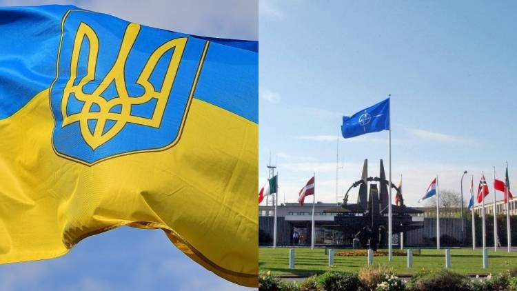 Зачем Запад тянет Украину за уши в НАТО