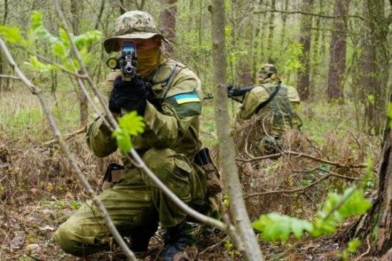 Разведка ДНР получила данные о подготовке провокации ВСУ на Донбассе