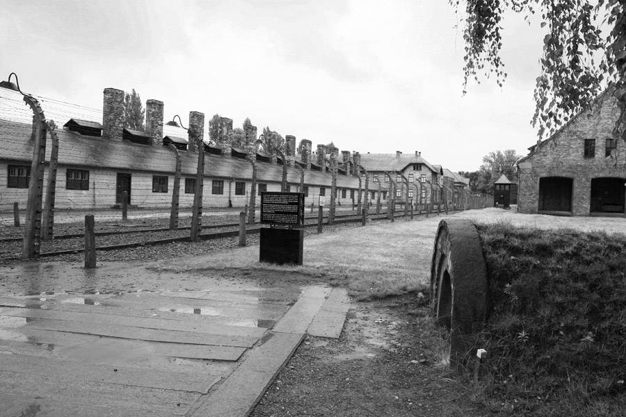Освенцим: Комбинат смерти