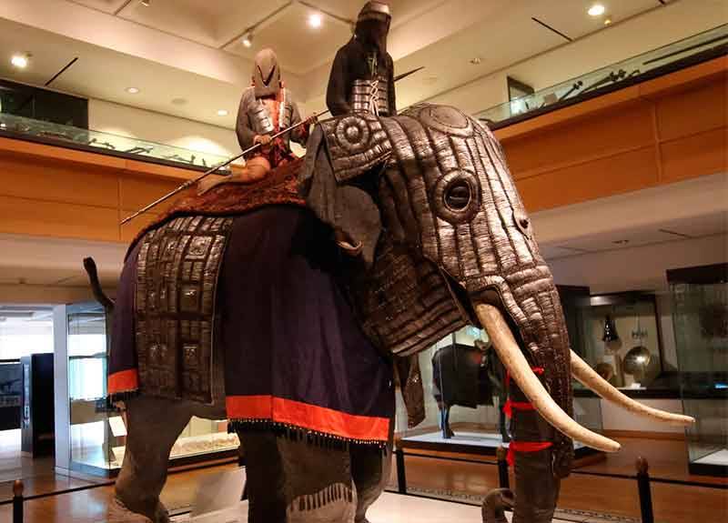 Какие доспехи создавали индийцы для боевых слонов?