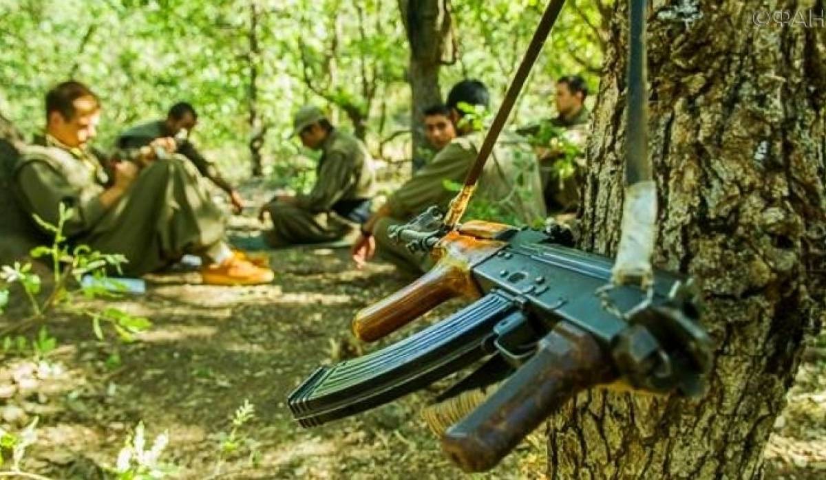 Террор курдских группировок повлиял на начало военной операции Турции